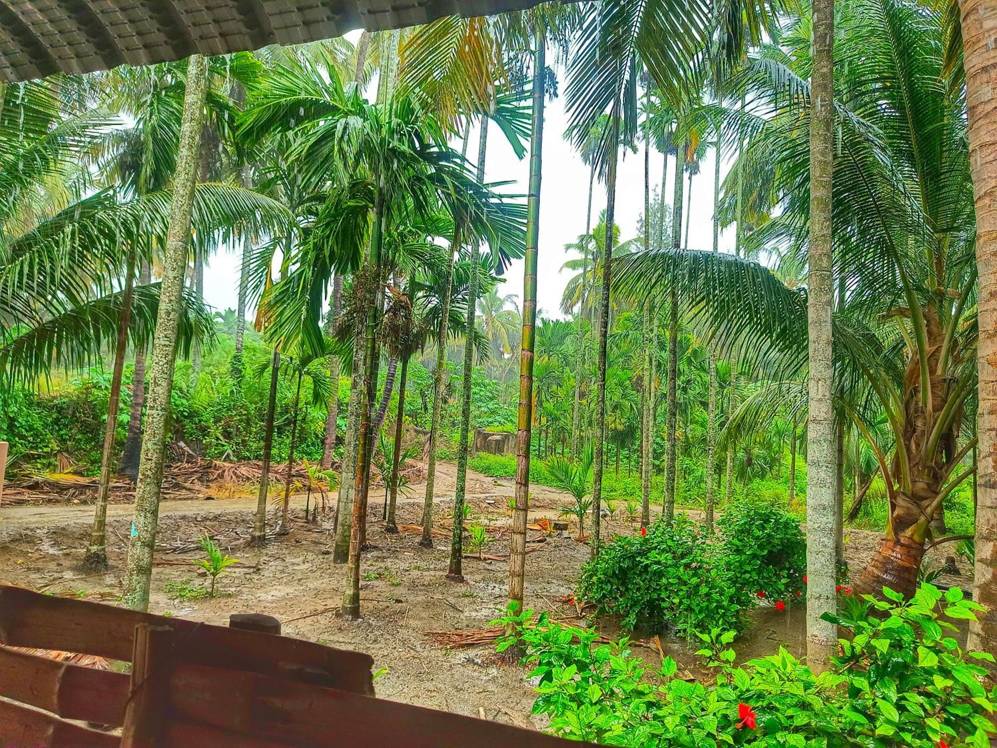 Shivalaya Farmstay Located Amdist Coconut Farm With River Access Near Isha,Adiyogi,Siruvani Alāndurai Екстериор снимка