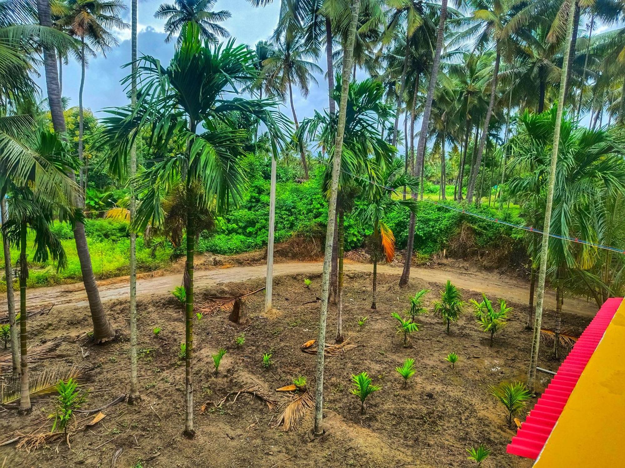 Shivalaya Farmstay Located Amdist Coconut Farm With River Access Near Isha,Adiyogi,Siruvani Alāndurai Екстериор снимка